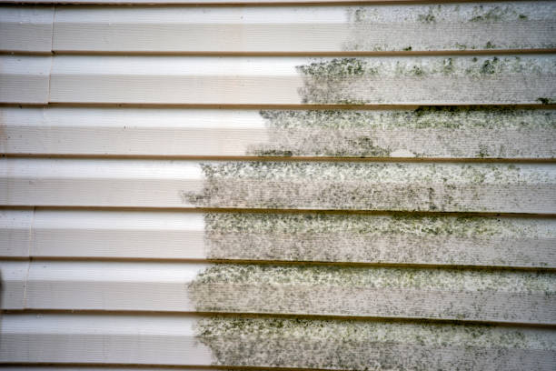 Best Shed Removal  in Avon, IN