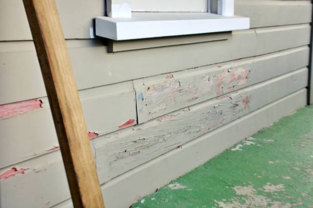 Best Construction Debris Removal  in Avon, IN